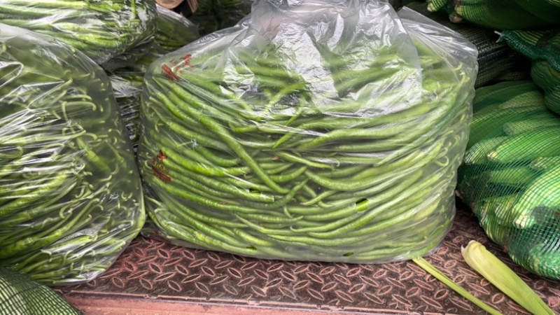 薄皮二荆条辣椒