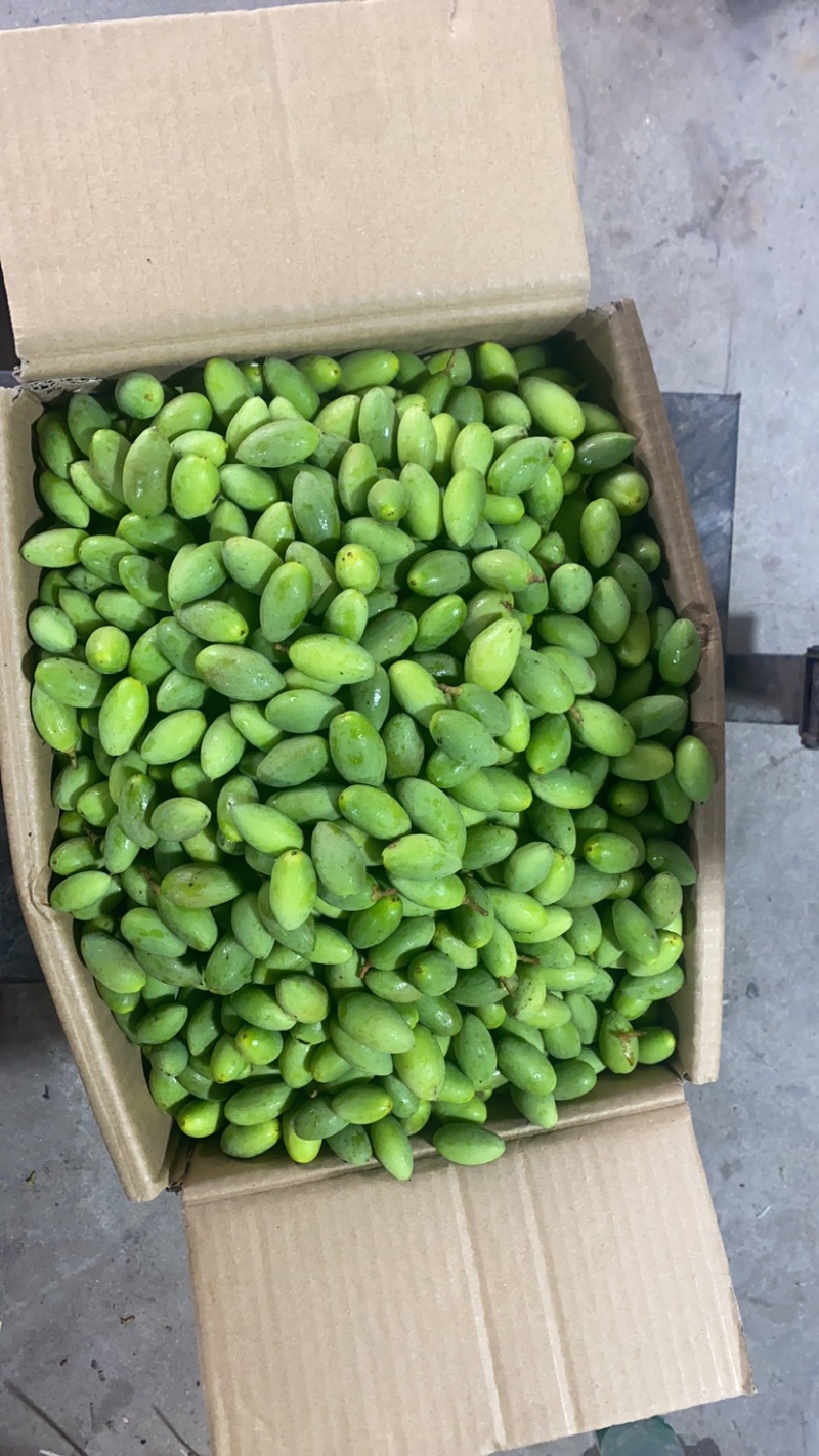 特甜青橄榄