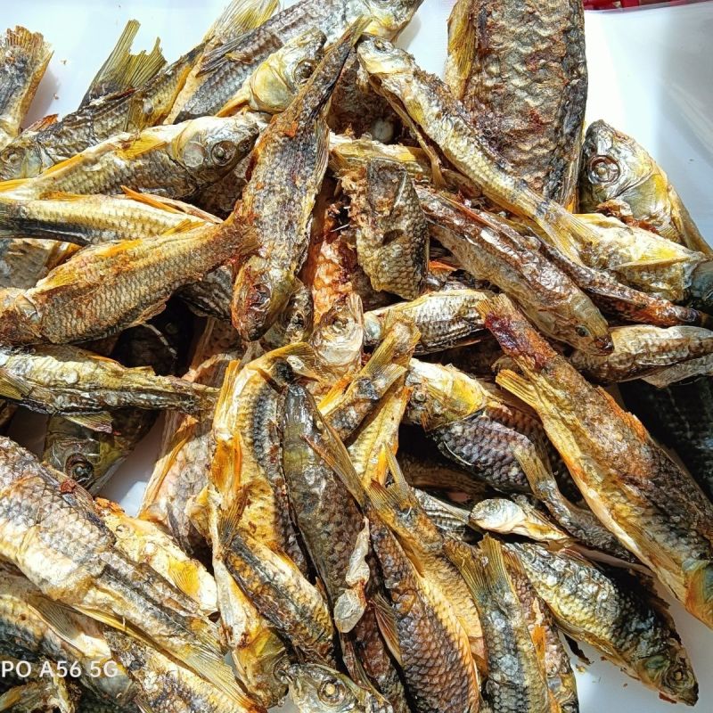 溪石斑鱼干
