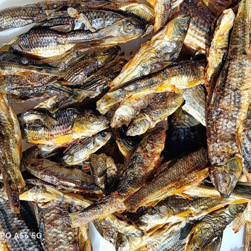 溪石斑鱼干