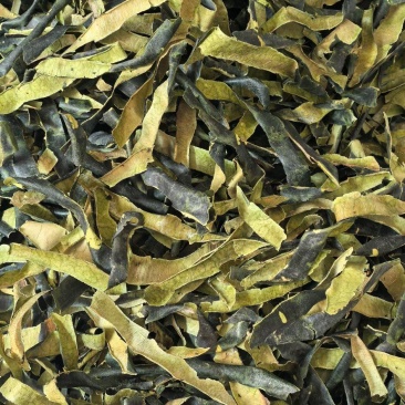 冬瓜皮选货颜色好2斤起包邮量大优惠