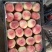 《突围毛桃》陕西基地直发对接商超团购供应链一条龙服务