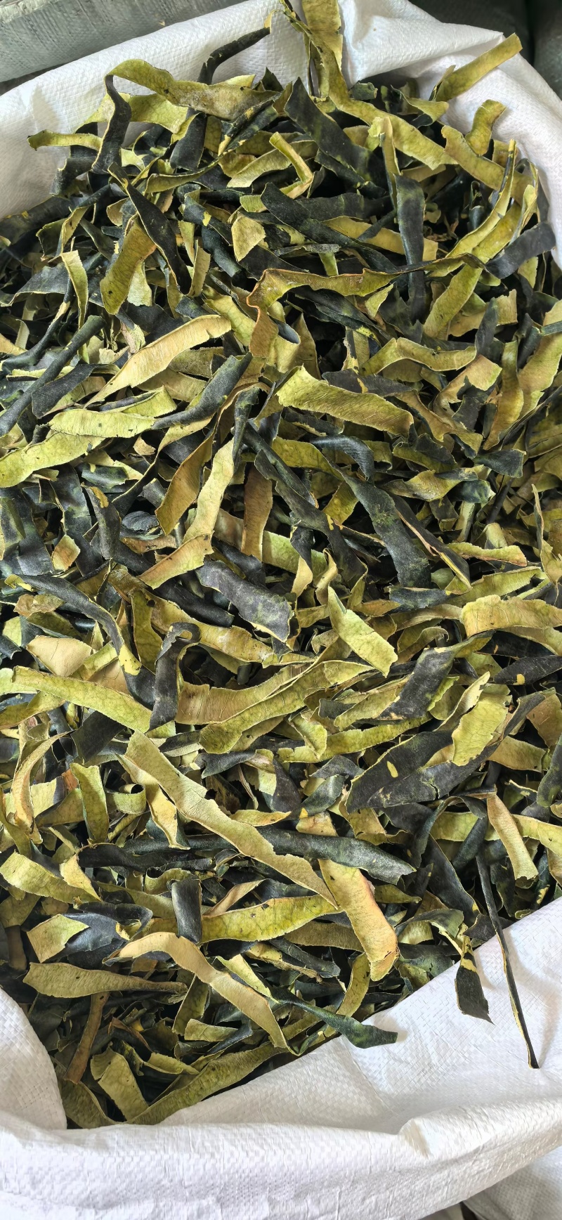 冬瓜皮选货颜色好2斤起包邮量大优惠