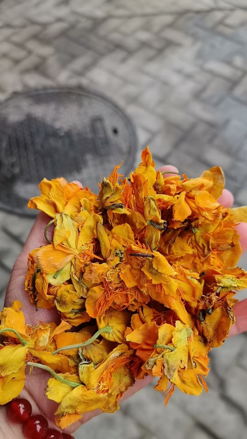 金莲花干货选货泡水级别药食同源