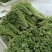 新鲜蕨菜甘肃特产野生蕨菜