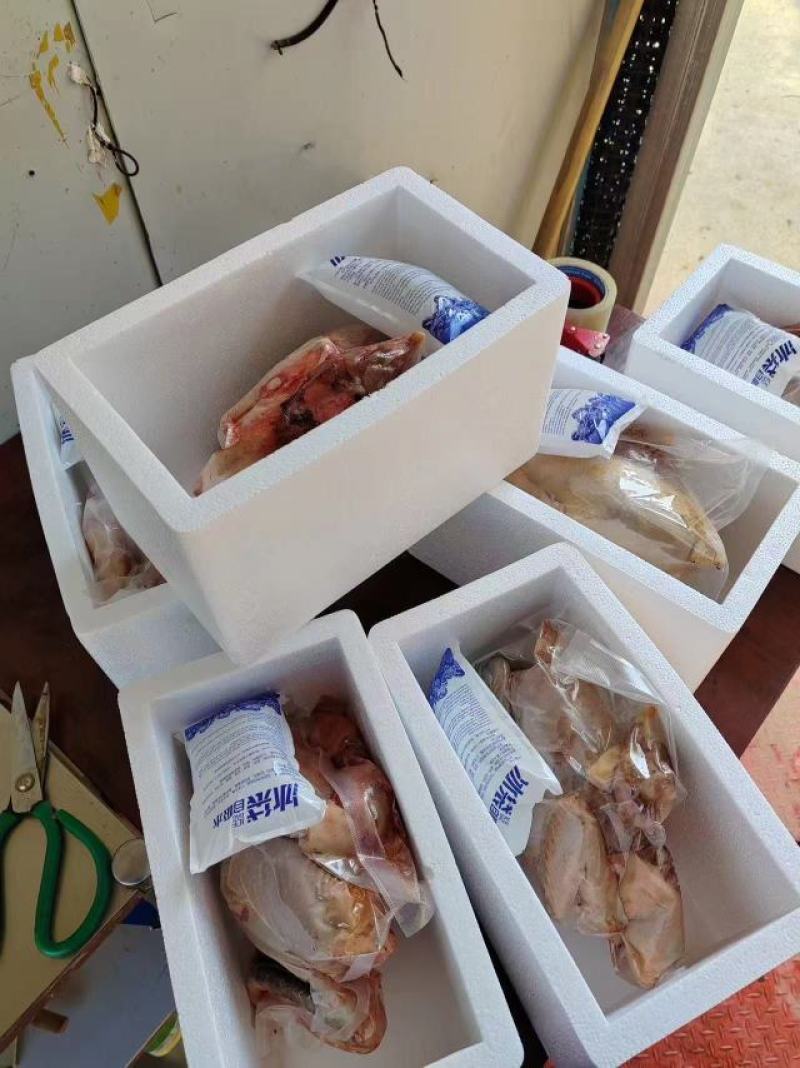 自家养殖土鸡现杀现发冷链发货品质保证肉质鲜美