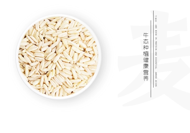 包邮）新货燕麦米粥粗粮五谷杂粮米农家自产黑龙江特产燕麦仁