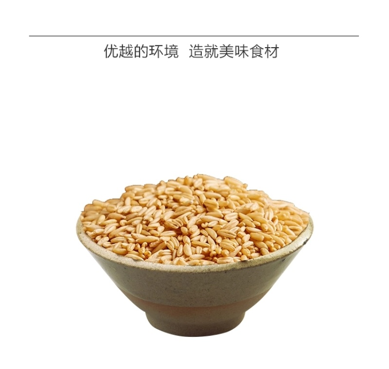 包邮）新货燕麦米粥粗粮五谷杂粮米农家自产黑龙江特产燕麦仁