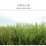包邮）新货燕麦米粥粗粮五谷杂粮米农家自产黑龙江特产燕麦仁