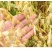 包邮）新货燕麦米粥粗粮五谷杂粮米农家自产黑龙江特产燕麦仁