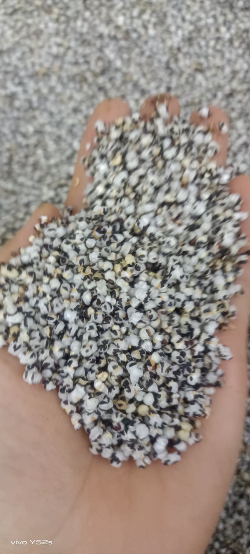 王不留行炒王不留行各种中草药名贵药材冷背药材多种混搭批发