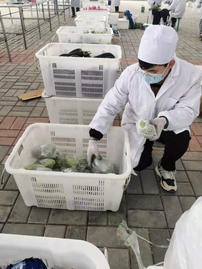 箱装净菜，蔬菜礼包，量大从优，保质保量，诚信企业