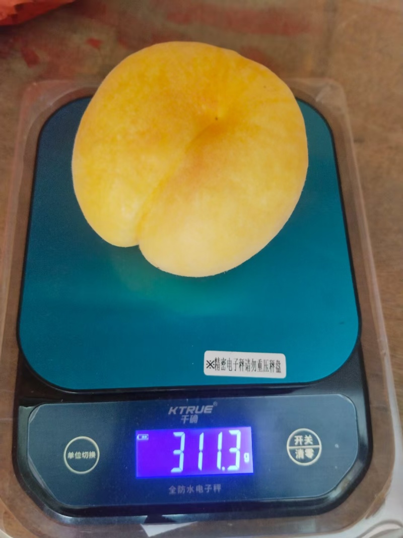 精品黄金蜜桃。大量上市。含糖量高，价格低。一手货源代发全