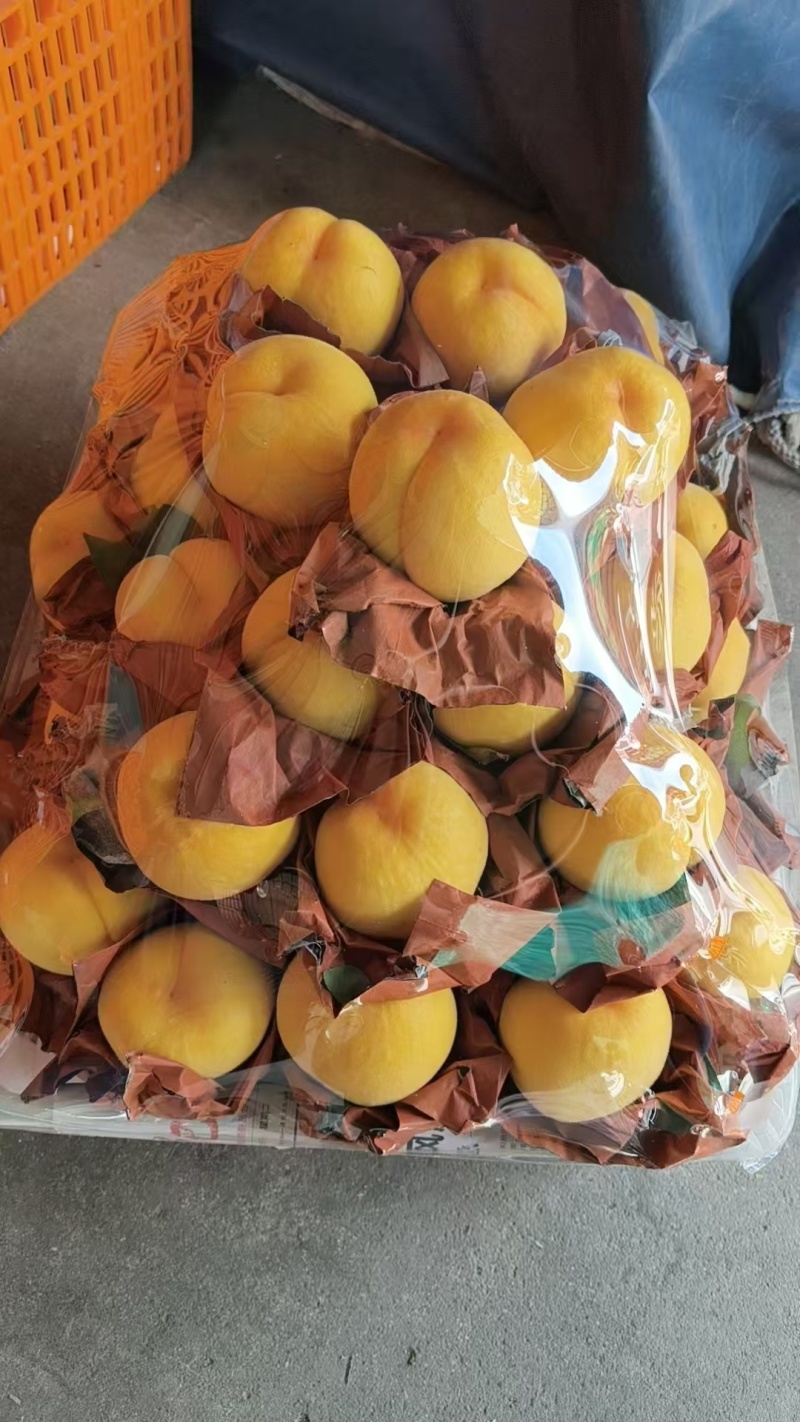 精品黄金蜜桃。大量上市。含糖量高，价格低。一手货源代发全