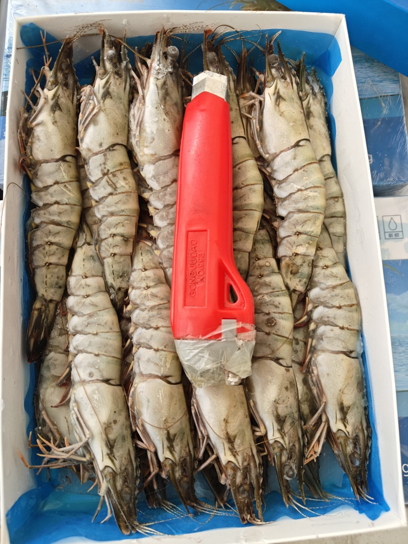 黑虎虾800克20头