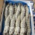 黑虎虾800克20头
