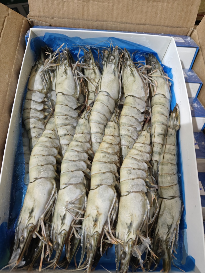 黑虎虾800克20头