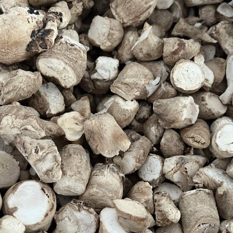 大菇脚产地直发量大价低大量现货可做香菇酱