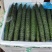 云南密刺黄瓜大量上市电商货工厂货大量供应