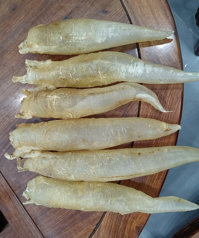 北海胶北海筒胶鱼胶花胶鳘鱼胶产地源头直供一手代理货源