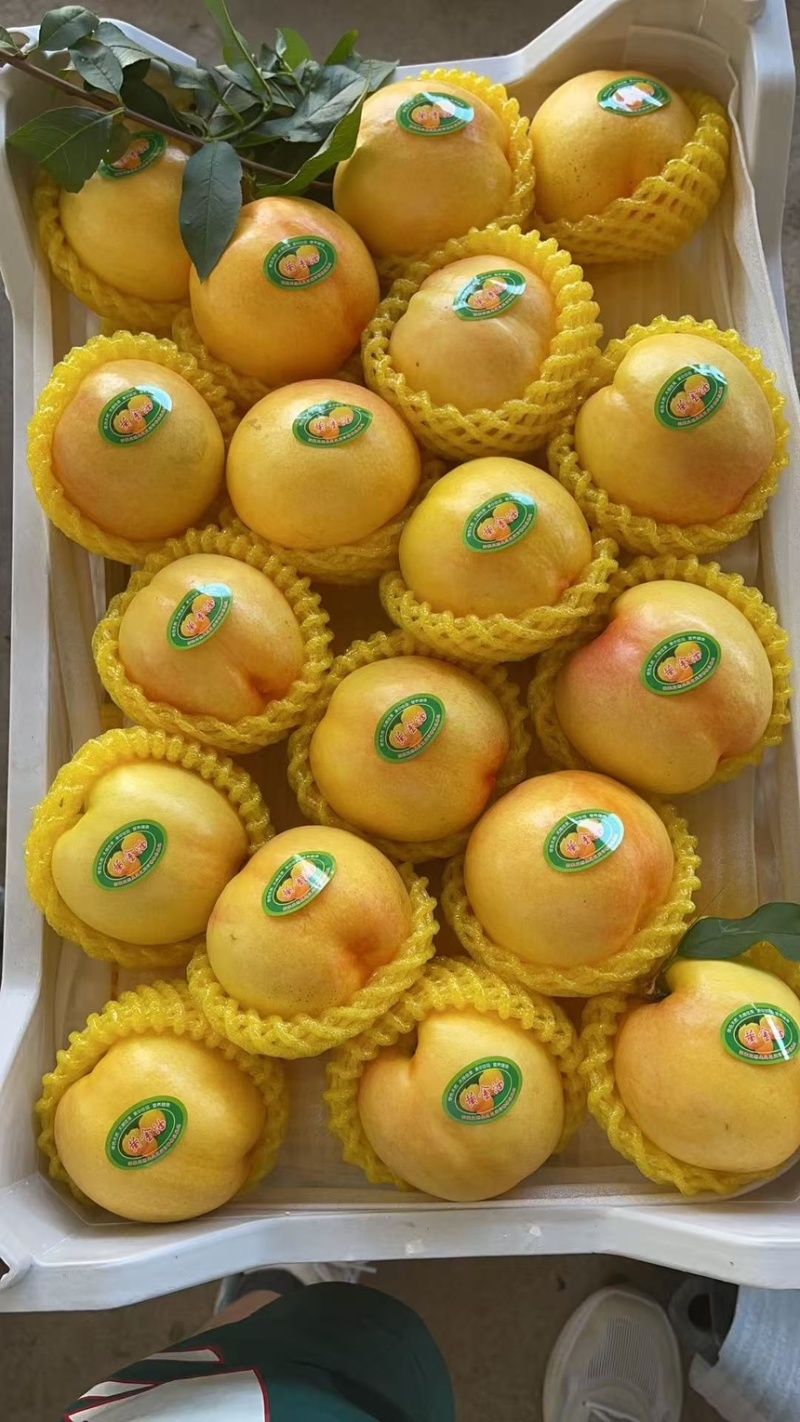 蒙阴露天中油四