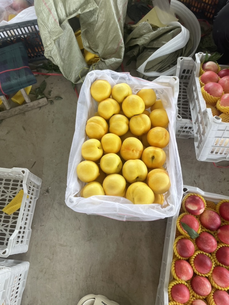 蒙阴露天中油四