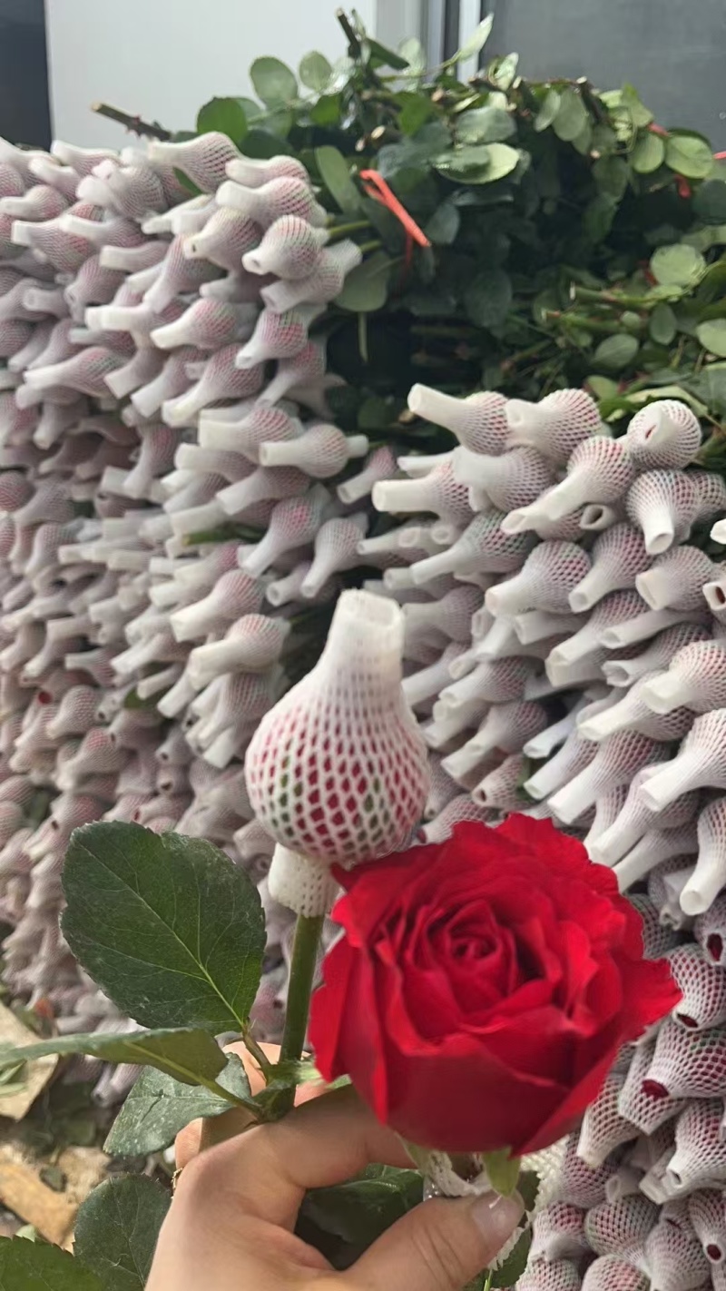 玫瑰花月季泡沫网套鲜花防护发泡塑形网状珍珠棉花网农用散装