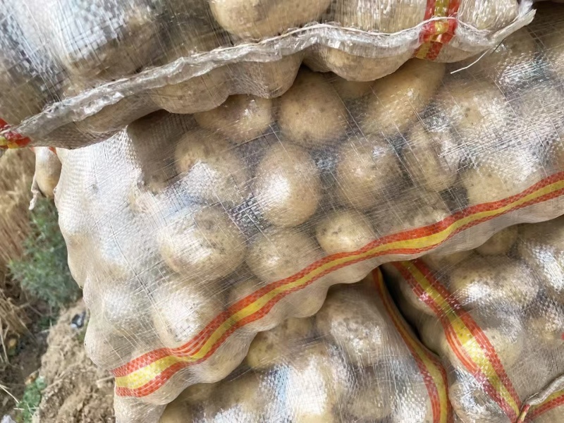 【土豆】黄皮黄心土豆可视频看货质量保证价格优惠