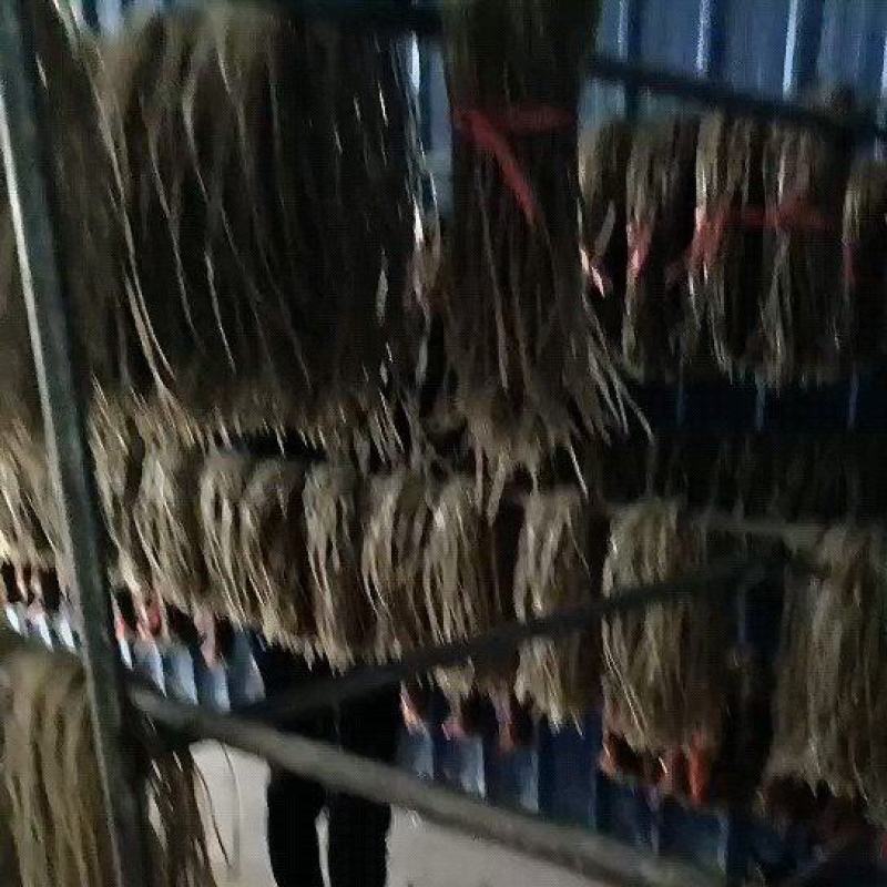 红薯粉