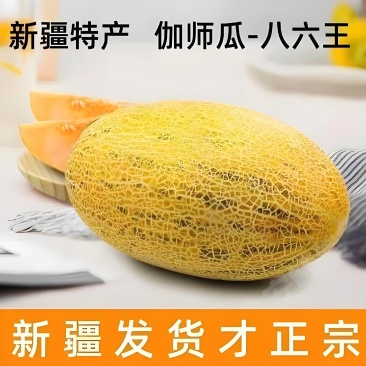 新疆精品八六王哈密瓜/金色年华/晓蜜25号/西洲蜜17号