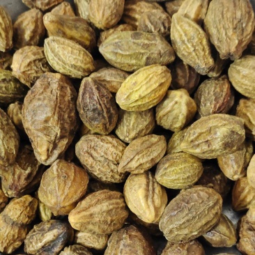 诃子各种中药材冷背药材名贵药材，售后和质量我们保证