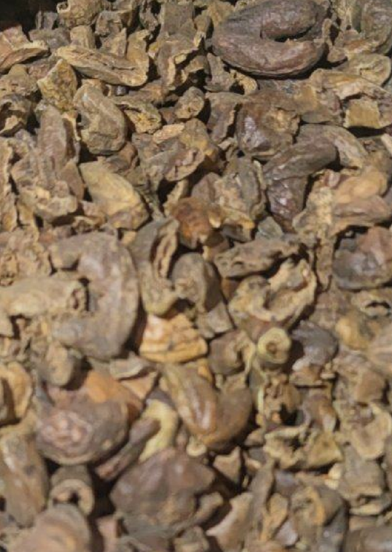 诃子各种中药材冷背药材名贵药材，售后和质量我们保证