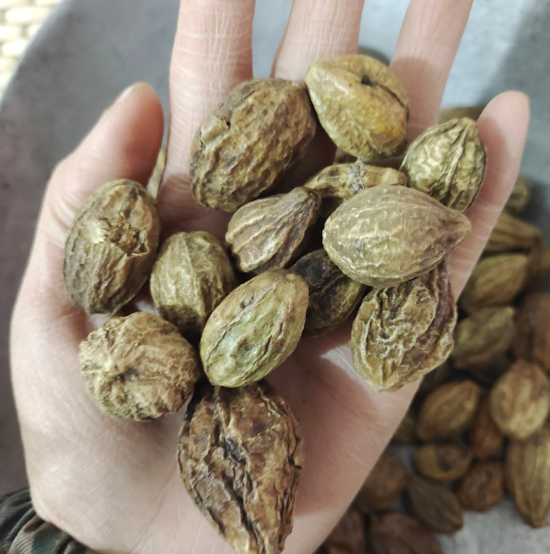 诃子各种中药材冷背药材名贵药材，售后和质量我们保证