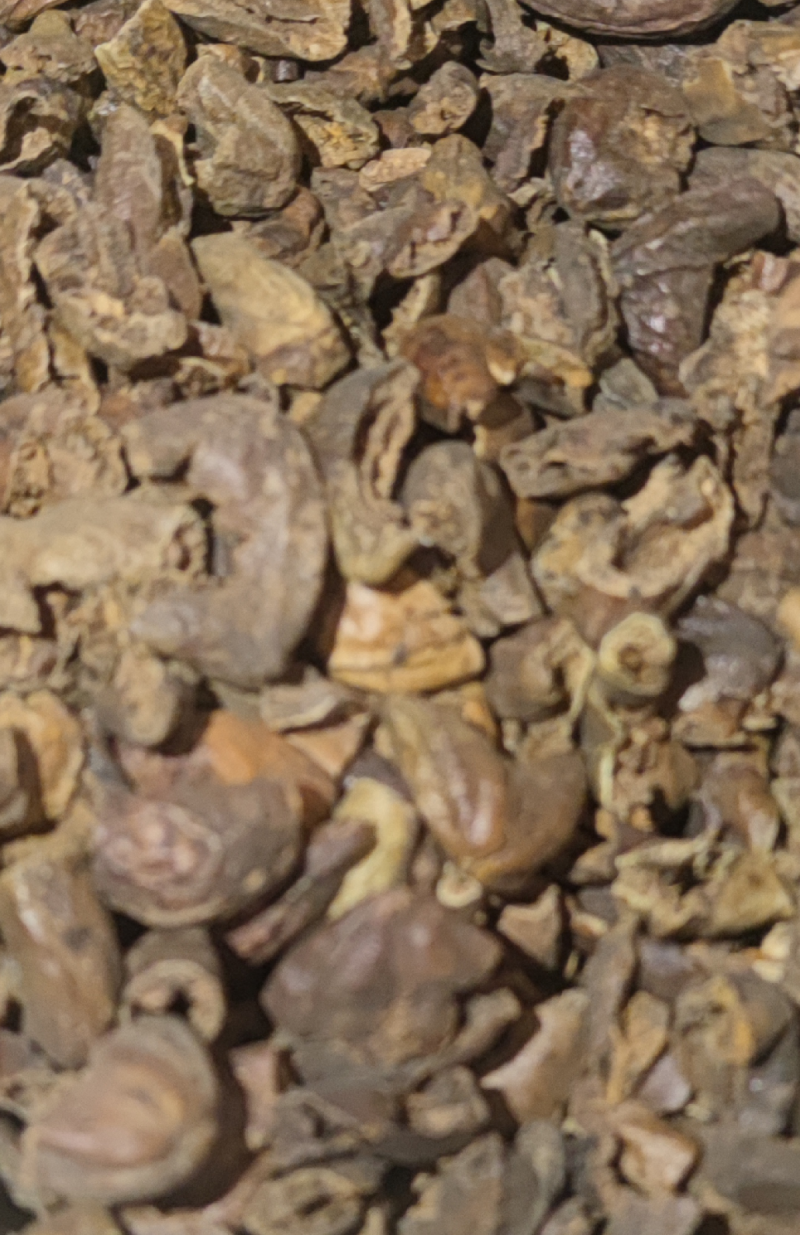 诃子各种中药材冷背药材名贵药材，售后和质量我们保证
