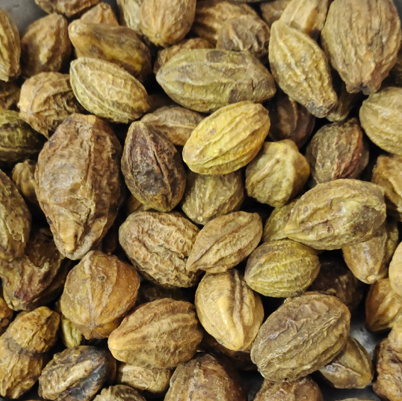 诃子各种中药材冷背药材名贵药材，售后和质量我们保证