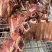 【熟牛肉】全熟卤香牛排骨，