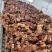 【熟牛肉】全熟卤香牛排骨，