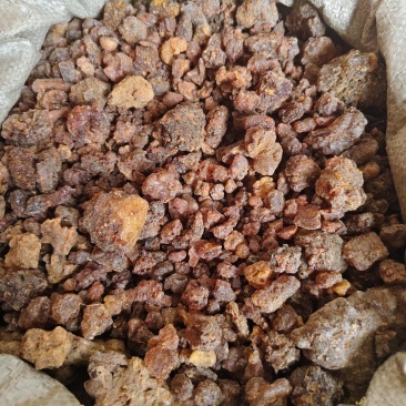 没药明没药各种规格没药醋没药规格齐全批发零售
