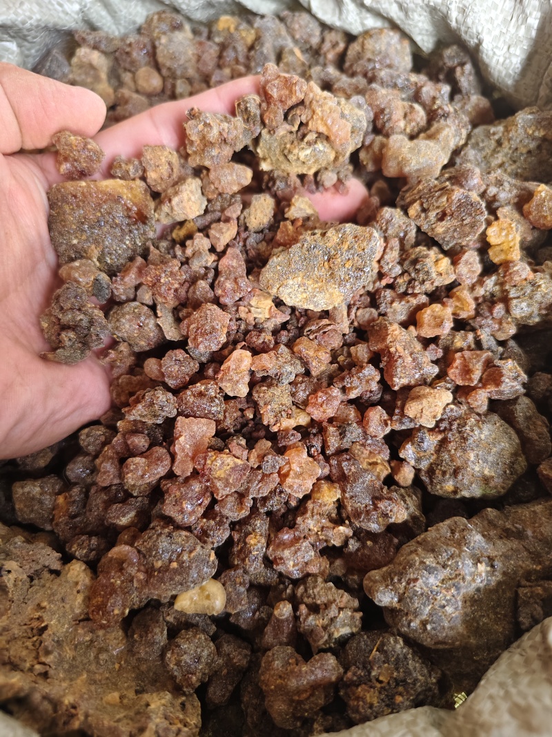 没药明没药各种规格没药醋没药规格齐全批发零售