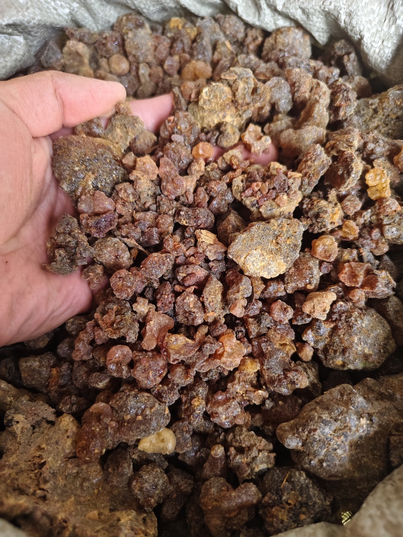 没药明没药各种规格没药醋没药规格齐全批发零售
