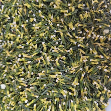 莲子心散装无硫莲子芯精选晒干莲子心散装批发实图拍摄