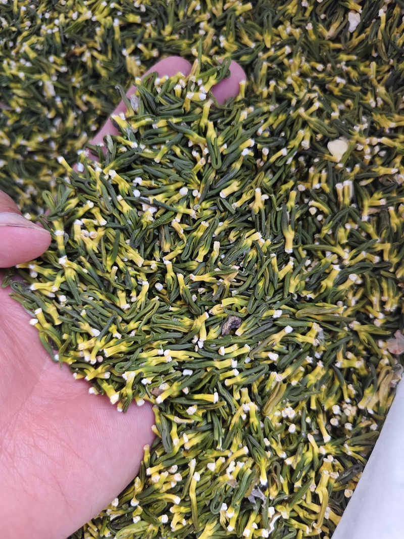 莲子心散装无硫莲子芯精选晒干莲子心散装批发实图拍摄