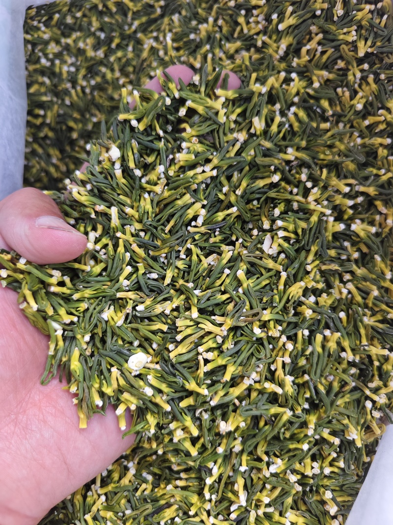 莲子心散装无硫莲子芯精选晒干莲子心散装批发实图拍摄