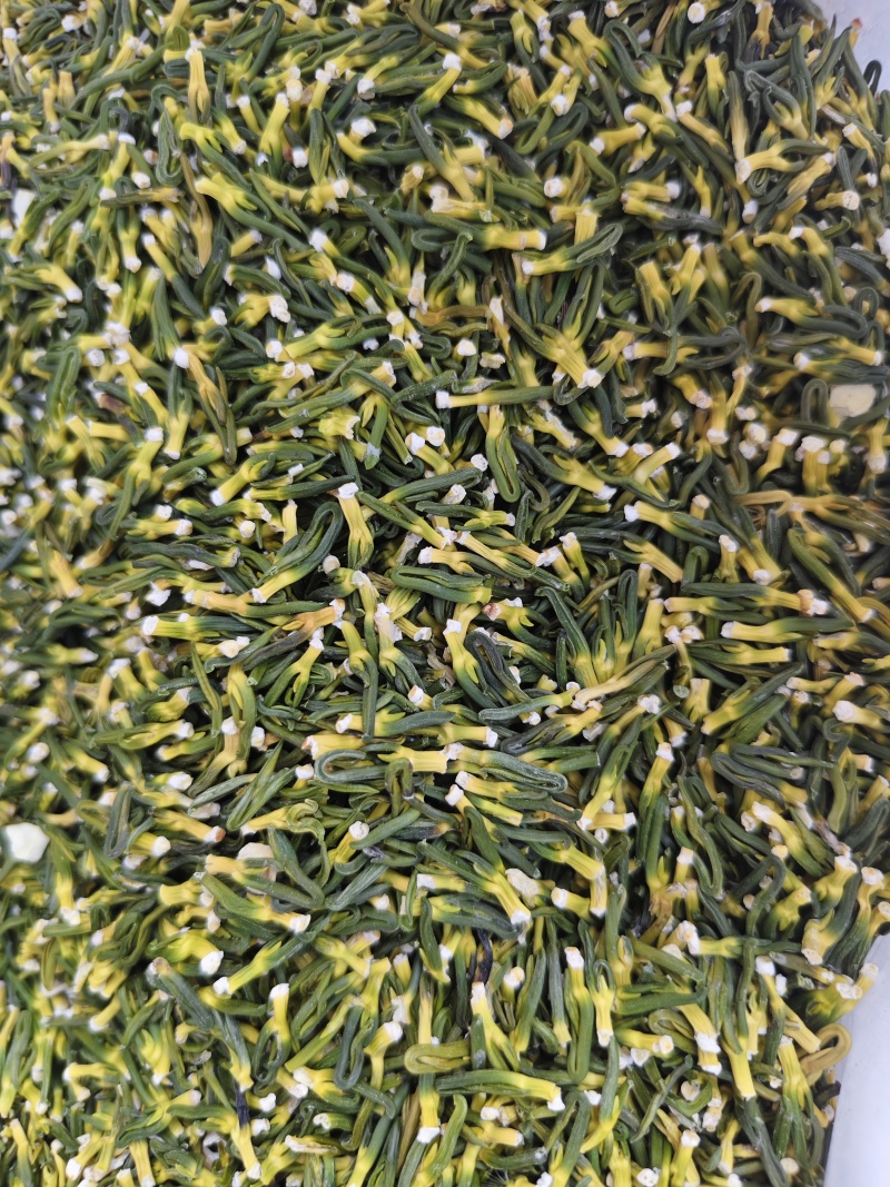 莲子心散装无硫莲子芯精选晒干莲子心散装批发实图拍摄