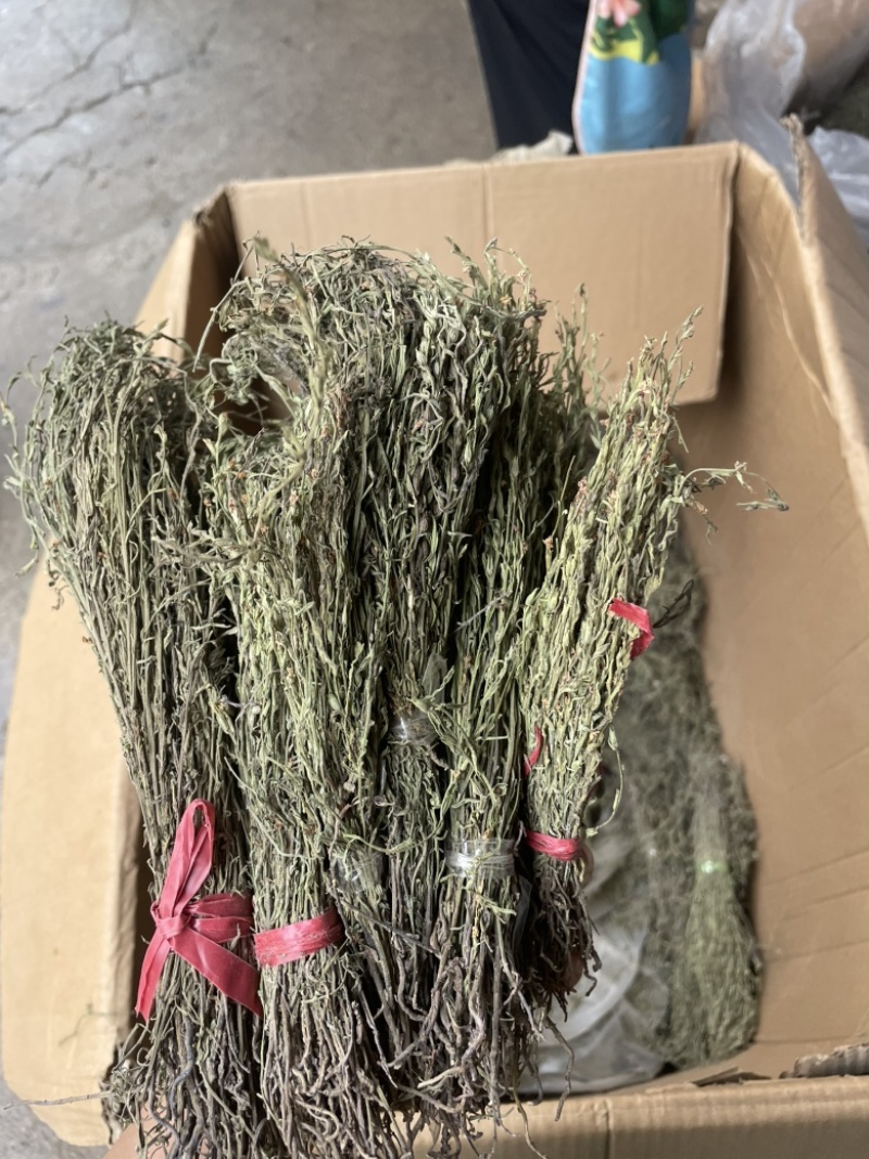 独脚金各规格有货颜色青绿货均有大量供应对接全国市场
