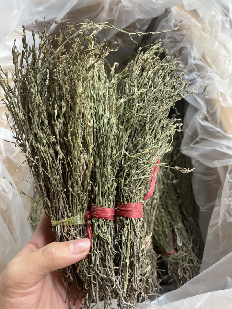 独脚金各规格有货颜色青绿货均有大量供应对接全国市场