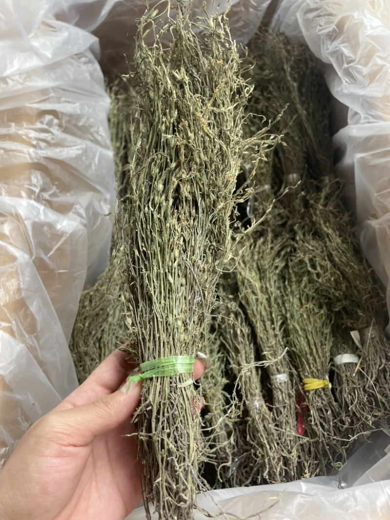 独脚金各规格有货颜色青绿货均有大量供应对接全国市场