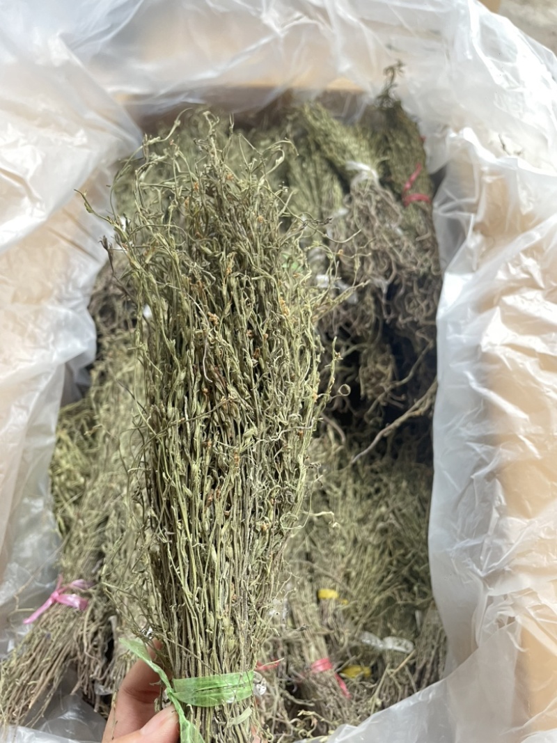 独脚金各规格有货颜色青绿货均有大量供应对接全国市场