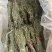 独脚金各规格有货颜色青绿货均有大量供应对接全国市场