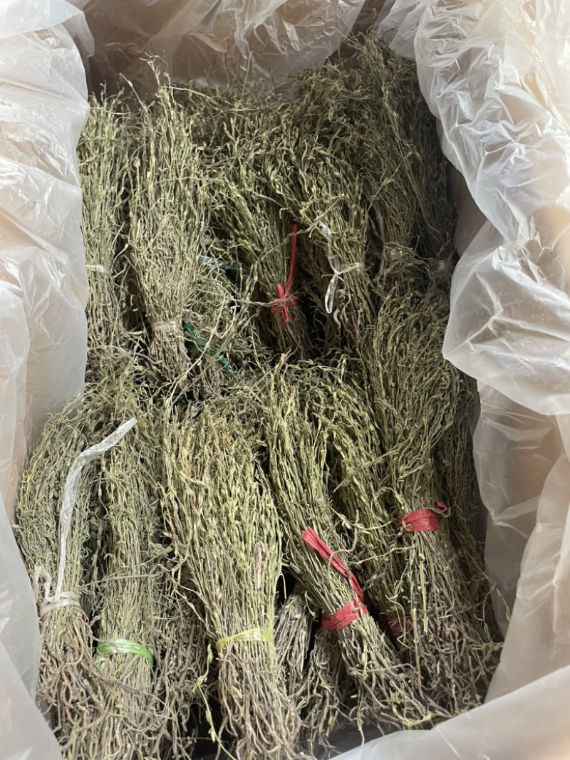 独脚金各规格有货颜色青绿货均有大量供应对接全国市场